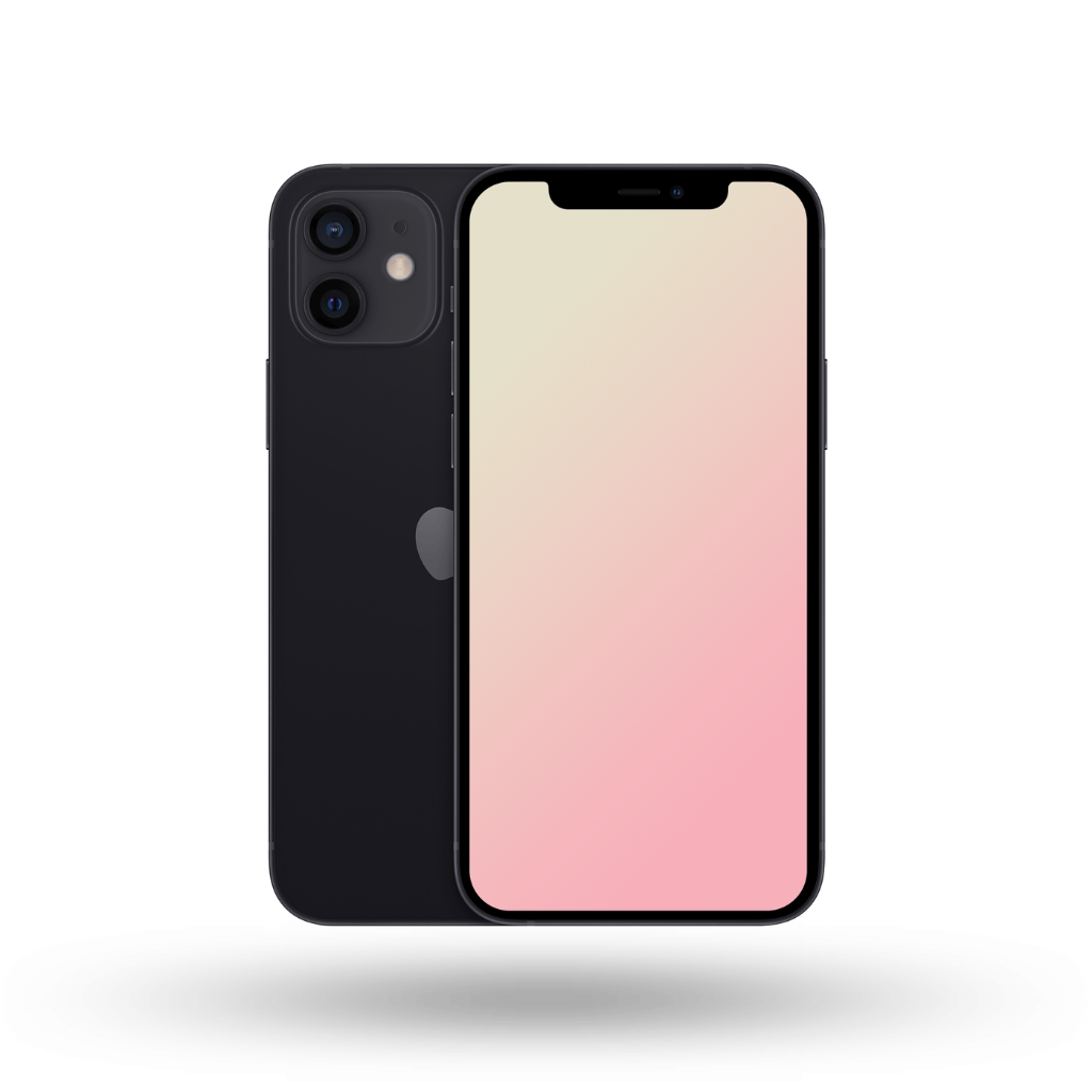 iPhone 12 - 128 GB - black